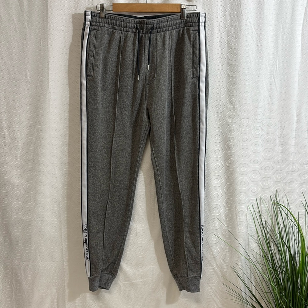 Abercrombie and Fitch jogger Pants Mens striped